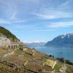 The vineyards of Lavaux