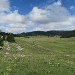 Natuurpark Jura Vaudois