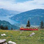 Der Schynige Platte Alpine Garden