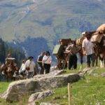 Revival of the Via Valtellina