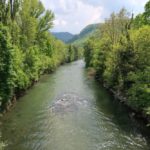 Birs River Landscape