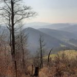 Idyll in the Valley, Panorama on the Mountains