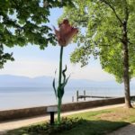 De tulp en onthaast toerisme in Morges