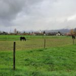 Industry, Nature, the Aare and the Emme