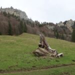 The Bettlachstock, Selzach and Dinosaurs