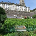 Hugenotten, Garten- und Weinbau