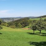 Bubendorf, Afghanistan, Wildenstein Castle and its Oaks