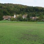 Gampelen oder Champion im Grossen Moos