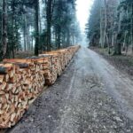 De holenbeer van Wenslingen, Grossholz van Ormalingen en de Ergolz in Oltingen