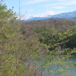 De Schiffenensee, de Magdalena Einsiedelei, brug, roeien en natuur