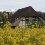 Lake Wohlensee, the Niederried-Oltigenmatt Reserve and the European Court of Human Rights