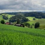 Zwei Dörfer, zwei Gasthäuser, eine Glocke und die Natur im Emmental