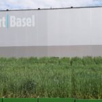 Art Basel is in de stad, regio en natuur