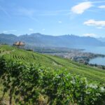 The small city of Vevey and its great Performances